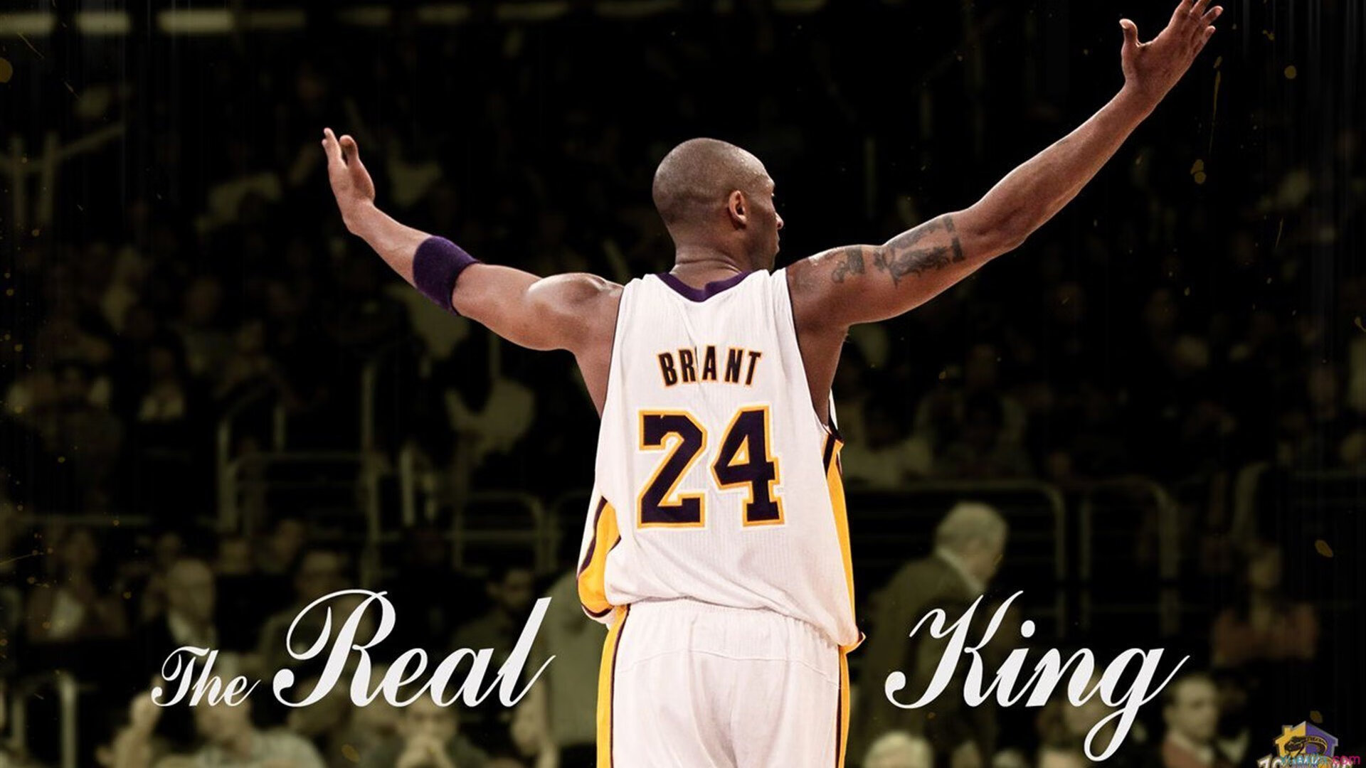 九游体育-穆古鲁扎迎来十二赛季高光表现，尤文图斯球迷沸腾！